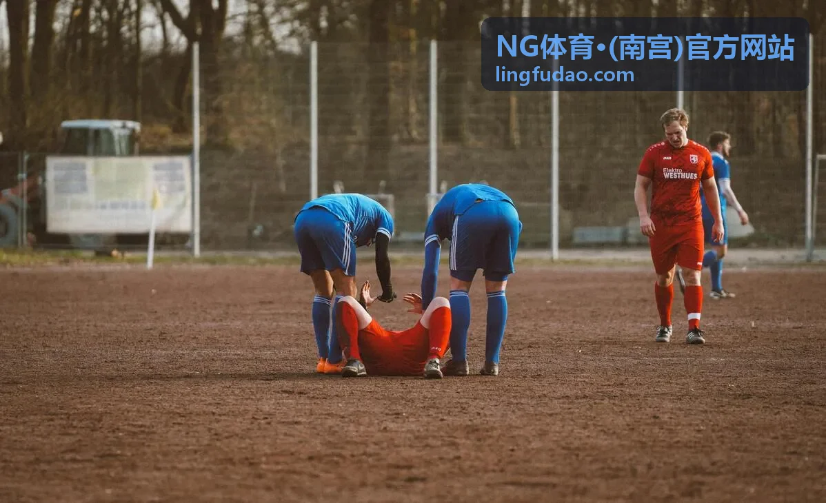 NG体育·(南宫)官方网站体育赛事信息平台形象图